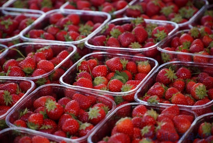 strawberries-8177601_1280.jpg
