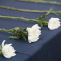 "서이초 사건 국정조사 실시하라"… 대한초등교사협회, 국회에 공식 요청 예정