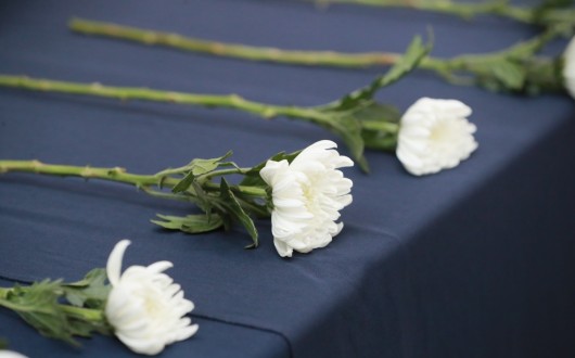 "서이초 사건 국정조사 실시하라"… 대한초등교사협회, 국회에 공식 요청 예정