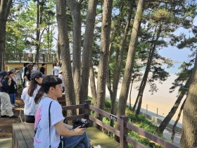 충남교육청, 교원 대상 치유캠프 운영…심리적 회복과 재충전 기회 마련