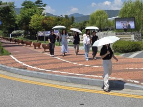 “양산 한 개가 만든 그늘, 나눔으로 이어지다” 충남교육청, ‘햇살 쉼 양산 펼쳐유’ 캠페인 전개